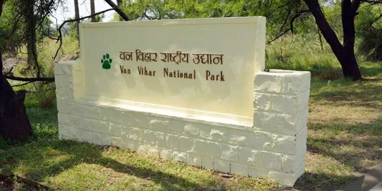 Van Vihar National Park Bhopal (Timings, Entry Fee, Safari, Images ...